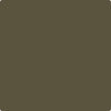 Shop CC-662 Night Owl by Benjamin Moore at Johnson & Maine Paint in MA, NH, and ME.