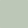 Shop CC-728 Maid of the Mist by Benjamin Moore at Johnson & Maine Paint in MA, NH, and ME.