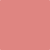 Shop CSP-1175 Pink Flamingo by Benjamin Moore at Johnson & Maine Paint in MA, NH, and ME.