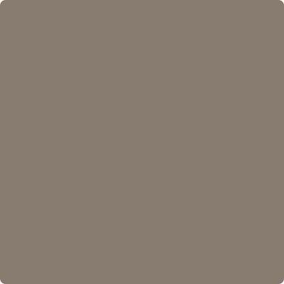 Shop CSP-195 Porcini by Benjamin Moore at Johnson & Maine Paint in MA, NH, and ME.