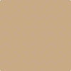 Shop CSP-285 Camel Hair by Benjamin Moore at Johnson & Maine Paint in MA, NH, and ME.