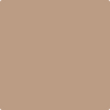 Shop CSP-320 Dark Buff by Benjamin Moore at Johnson & Maine Paint in MA, NH, and ME.