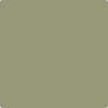 Shop CSP-825 Thayer Green by Benjamin Moore at Johnson & Maine Paint in MA, NH, and ME.