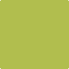 Shop CSP-865 Limeade by Benjamin Moore at Johnson & Maine Paint in MA, NH, and ME.