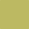 Shop CSP-890 Martini Olive by Benjamin Moore at Johnson & Maine Paint in MA, NH, and ME.