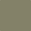 Shop HC-112 Tate Olive by Benjamin Moore at Johnson & Maine Paint in MA, NH, and ME.