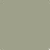Shop HC-113 Louisburg Green by Benjamin Moore at Johnson & Maine Paint in MA, NH, and ME.