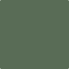 Shop HC-121 Paele Green by Benjamin Moore at Johnson & Maine Paint in MA, NH, and ME.