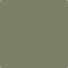 Shop HC-122 Great Barrington Green by Benjamin Moore at Johnson & Maine Paint in MA, NH, and ME.