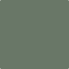 Shop HC-125 Cushing Green by Benjamin Moore at Johnson & Maine Paint in MA, NH, and ME.