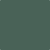 Shop HC-135 Lafayette Green by Benjamin Moore at Johnson & Maine Paint in MA, NH, and ME.