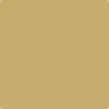 Shop HC-14 Princeton Gold by Benjamin Moore at Johnson & Maine Paint in MA, NH, and ME.