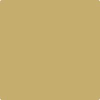 Shop HC-14 Princeton Gold by Benjamin Moore at Johnson & Maine Paint in MA, NH, and ME.
