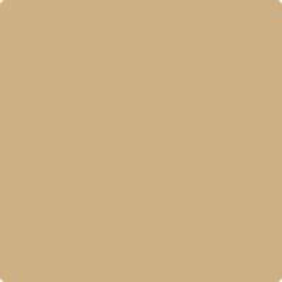 HC-34 Wilmingtong Tan a Paint Color by Benjamin Moore